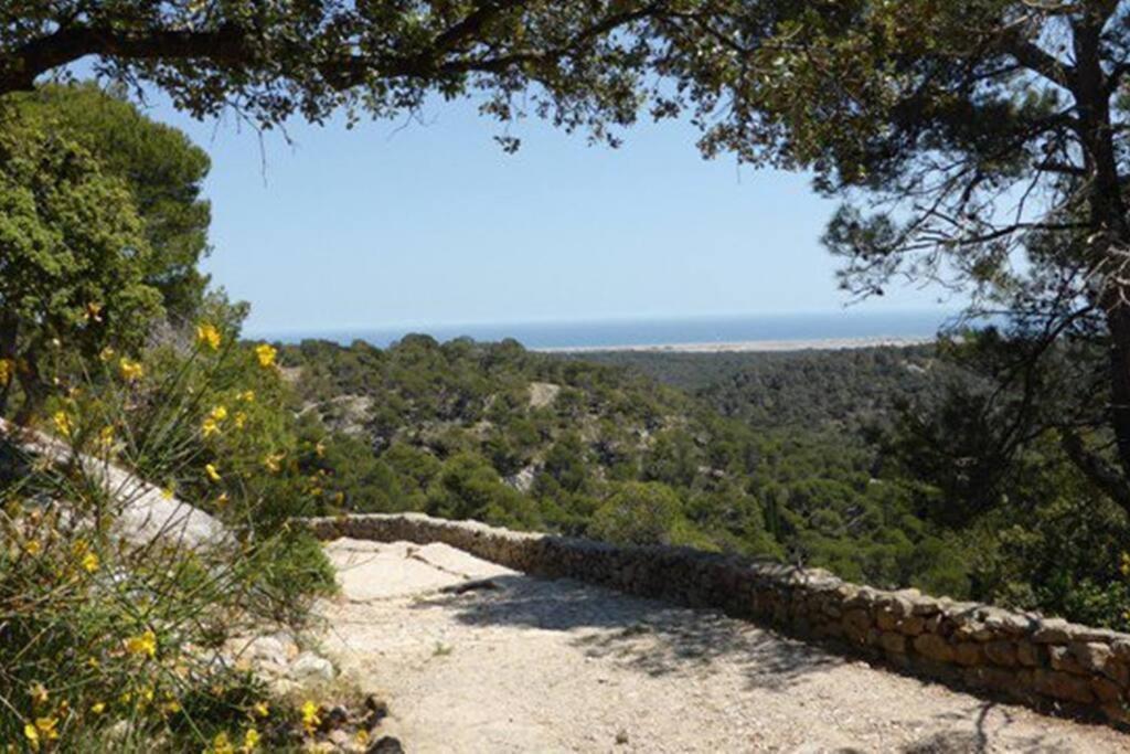 Entre Mer Et Garrigue Saint-Pierre-la-Mer  외부 사진