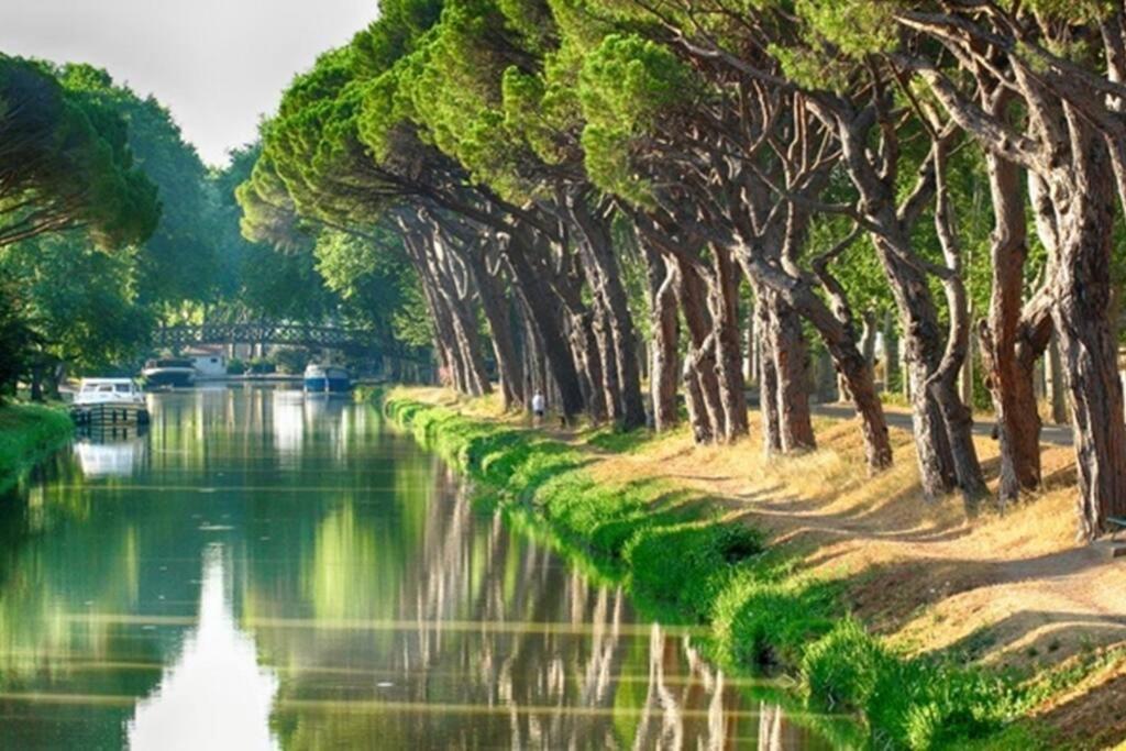 Entre Mer Et Garrigue Saint-Pierre-la-Mer  외부 사진