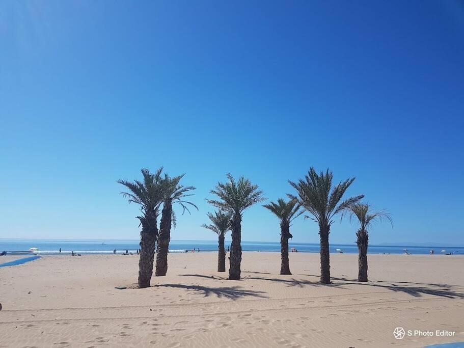 Entre Mer Et Garrigue Saint-Pierre-la-Mer  외부 사진