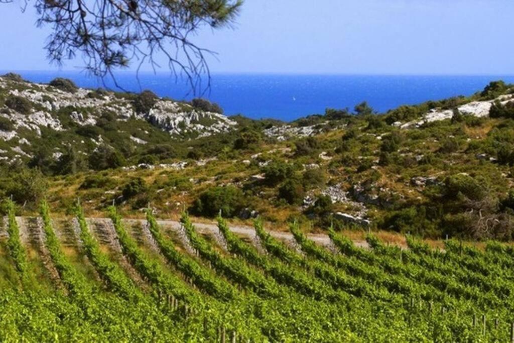 Entre Mer Et Garrigue Saint-Pierre-la-Mer  외부 사진